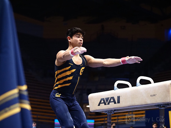 Noah Newfeld