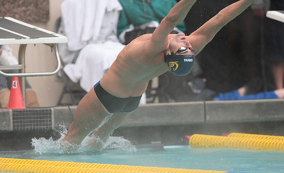 Cal Men's Swimming vs Stanford