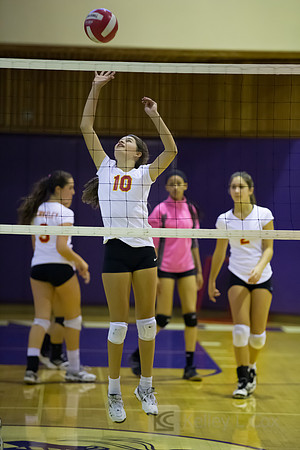 JV Volleyball: Berkeley at Piedmont
