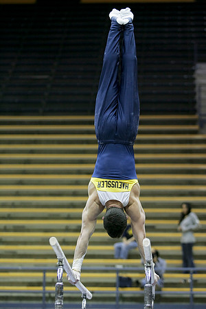 Cal Men's Gymnastics vs Stanford