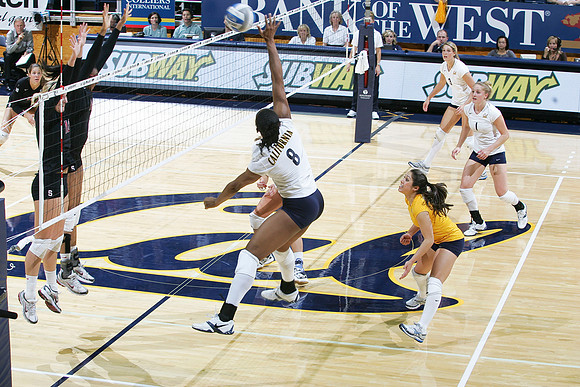 Cal Women's Volleyball vs Stanford