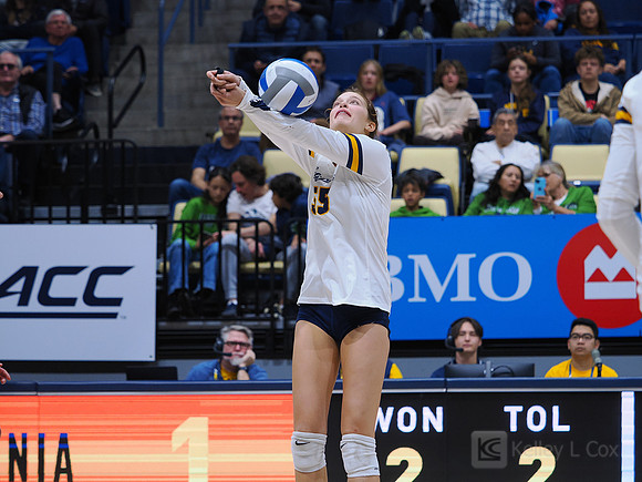 Volleyball: California Golden Bears vs Notre Dame Fighting Irish