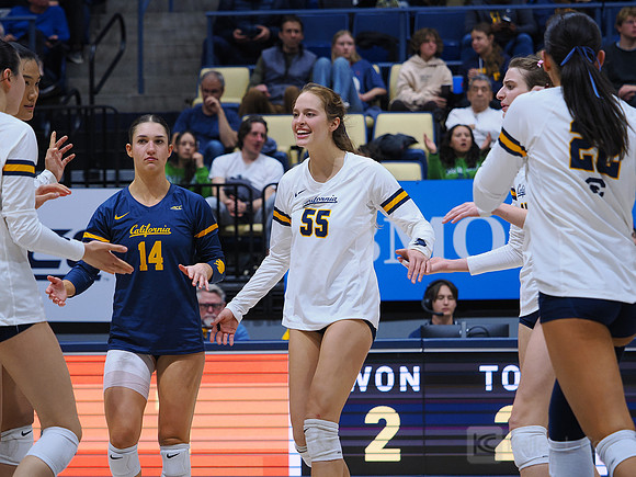 Volleyball: California Golden Bears vs Notre Dame Fighting Irish