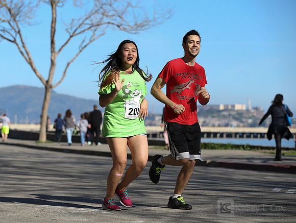 SONC Polar Plunge SF