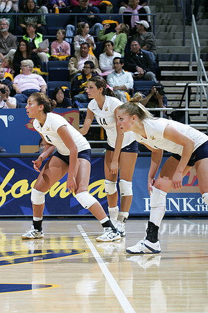 Cal Volleyball vs Arizona State