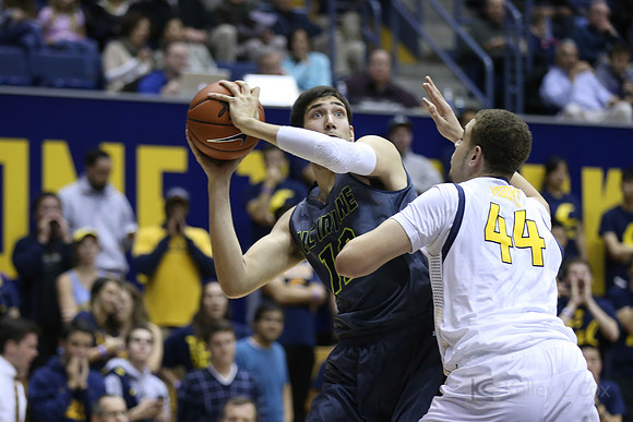 NCAA Basketball: UC Irvine at California