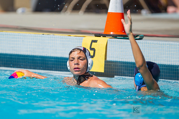 Shore Aquatics Red A v Del Mar WP