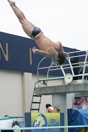 Cal Men's Swimming and Diving vs Stanford