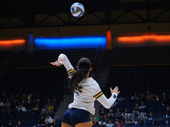 Volleyball: California Golden Bears vs Notre Dame Fighting Irish