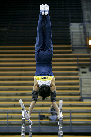 Cal Men's Gymnastics vs Stanford
