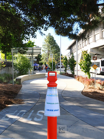 City of El Cerrito: Bike to Wherever Days