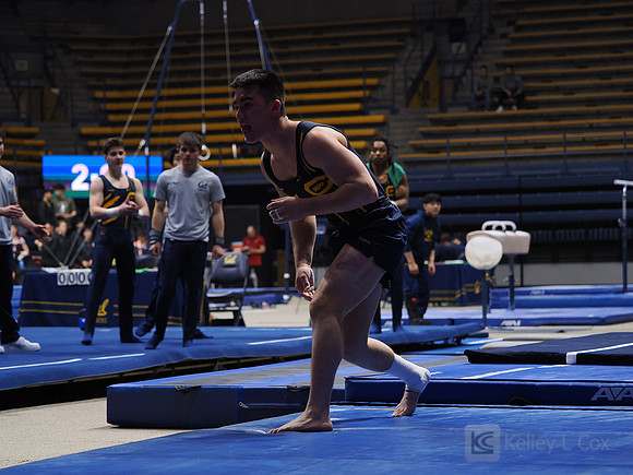 Men’s Gymnastics: California Golden Bears vs Stanford Cardinal