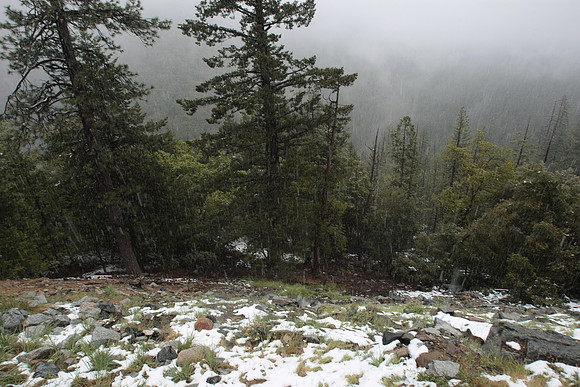 Yosemite 2011