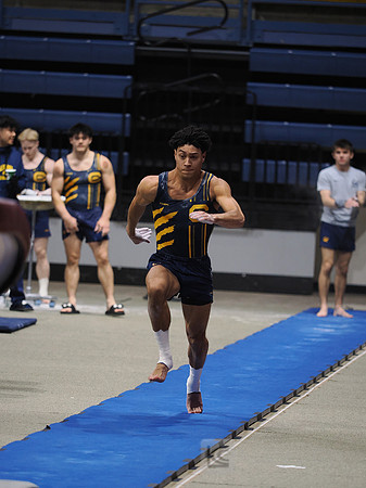 Men’s Gymnastics: California Golden Bears vs Stanford Cardinal