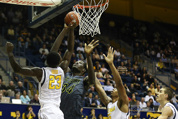 NCAA Basketball: UC Irvine at California