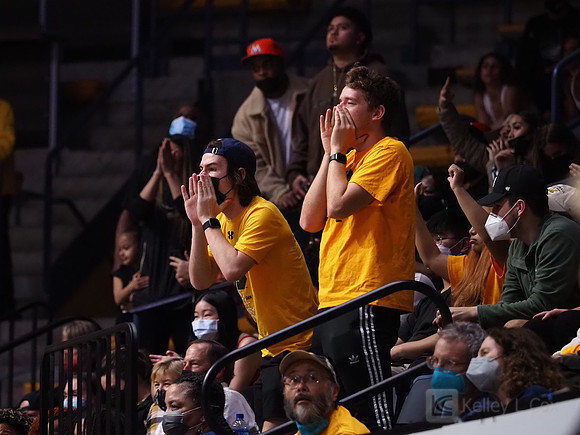 Fans