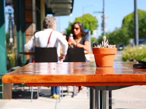 City of El Cerrito: Bike to Wherever Days