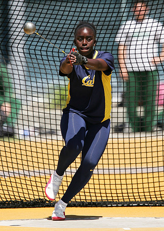 Cal Track & Field Brutus Hamilton