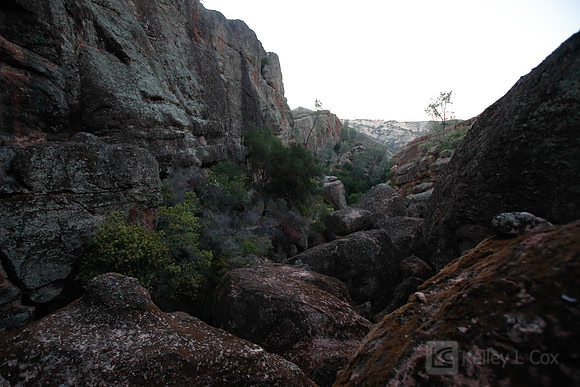 Pinnacles