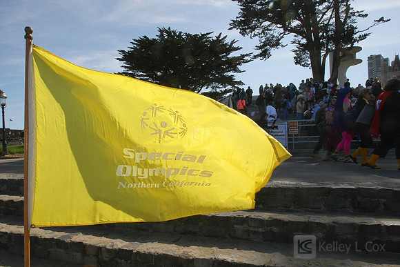 2012 SONC Polar Plunge