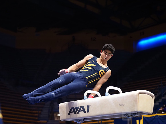 Noah Newfeld