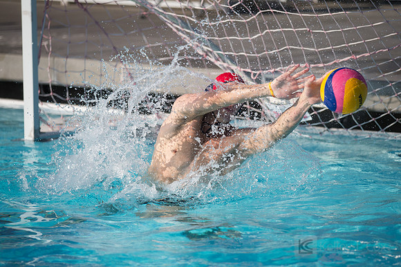 USAWP: Mens National Team