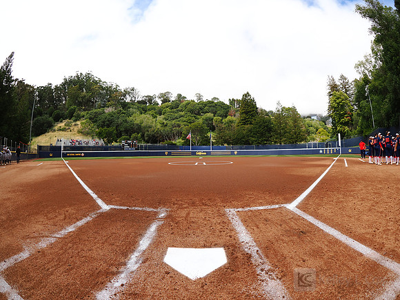 Field