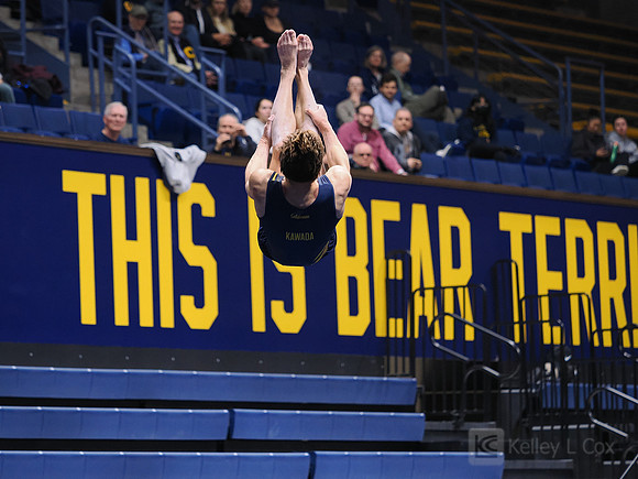 Men’s Gymnastics: California Golden Bears vs Stanford Cardinal