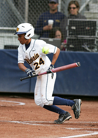 Cal Softball vs Santa Clara