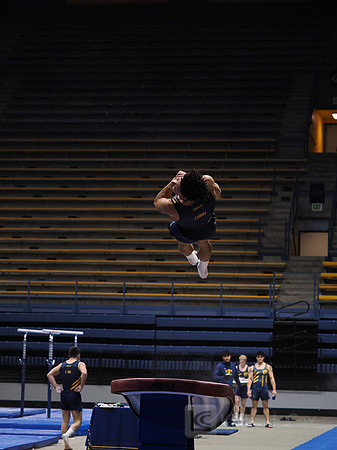 Men’s Gymnastics: California Golden Bears vs Stanford Cardinal