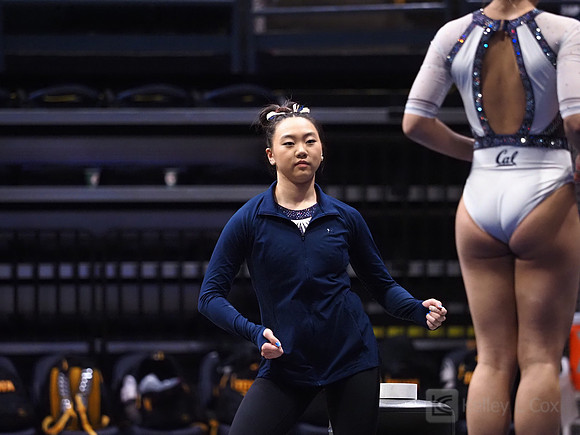 Andi Li