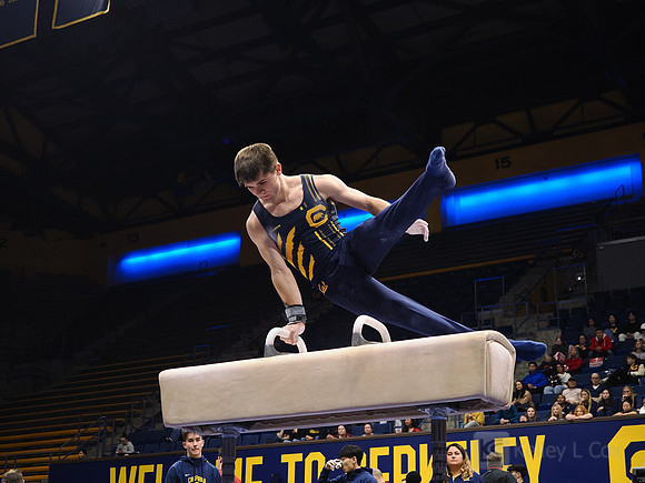 Men’s Gymnastics: California Golden Bears vs Stanford Cardinal