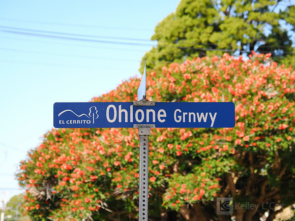 City of El Cerrito: Bike to Wherever Days