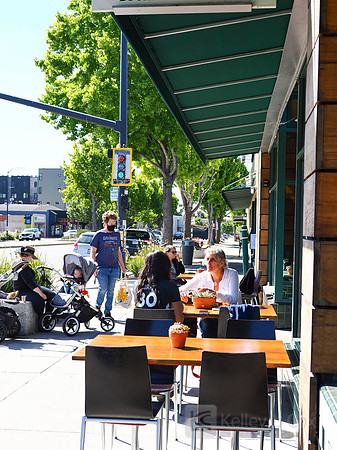 City of El Cerrito: Bike to Wherever Days