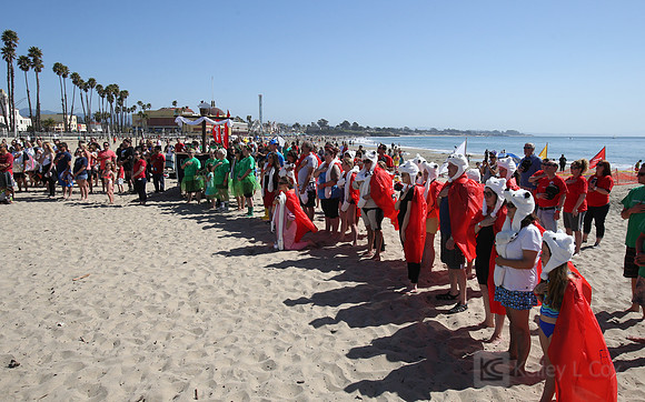 Santa Cruz Polar Plunge