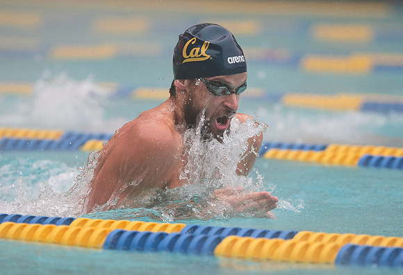 Cal Men's Swimming vs Stanford