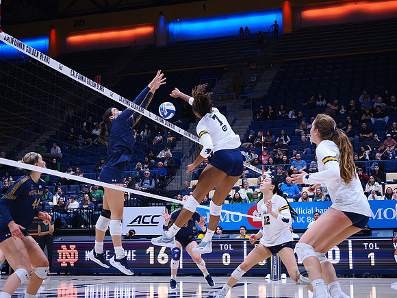 Volleyball: California Golden Bears vs Notre Dame Fighting Irish
