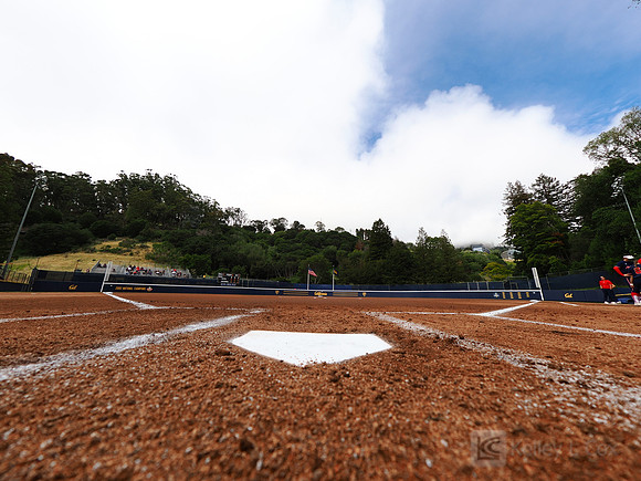 Field
