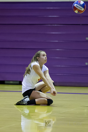 JV Volleyball: Berkeley at Piedmont