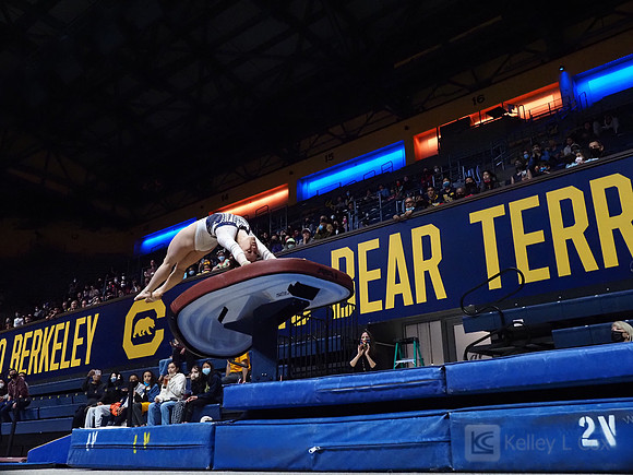 Women’s Gymnastics: California Golden Bears vs Iowa Hawkeyes