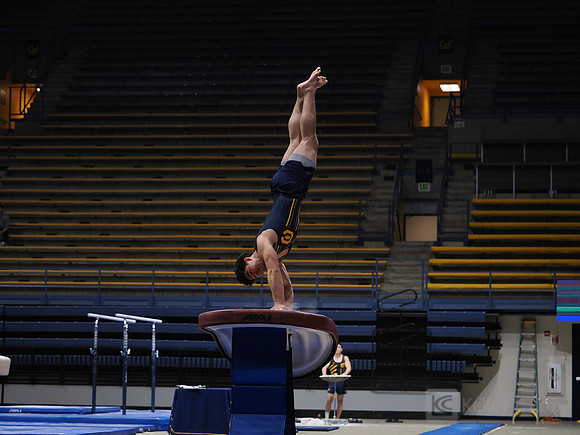 Men’s Gymnastics: California Golden Bears vs Stanford Cardinal