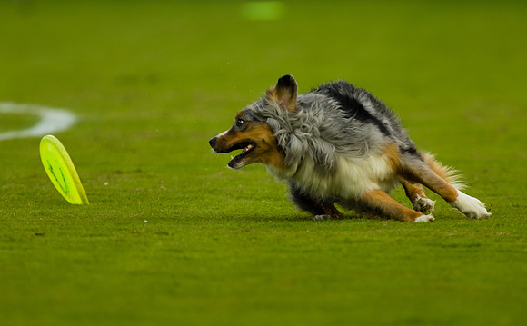 NCAA Soccer: Women's College Cup - West Virginia Mountaineers vs USC Trojans