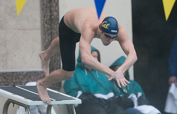 Cal Men's Swimming vs Stanford