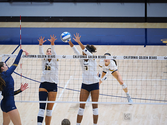 Volleyball: California Golden Bears vs Notre Dame Fighting Irish