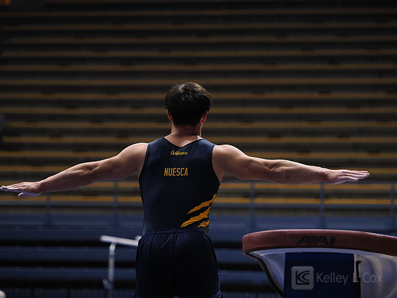 Men’s Gymnastics: California Golden Bears vs Stanford Cardinal
