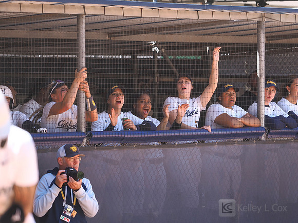 Softball: California Golden Bears vs Oregon State Beavers