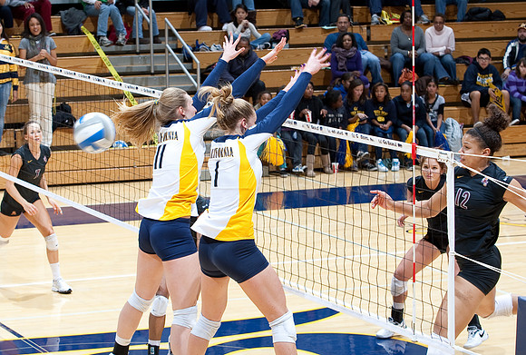 Cal Volleyball vs ASU