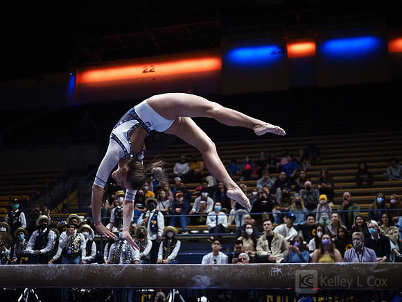 Women’s Gymnastics: California Golden Bears vs Iowa Hawkeyes