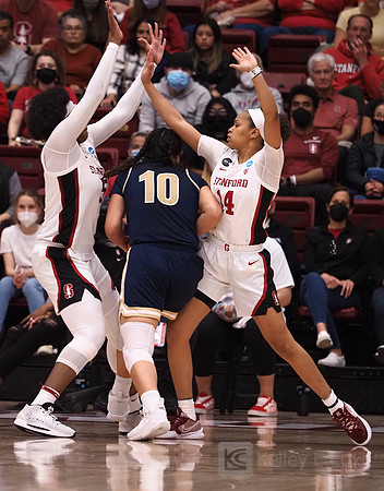 NCAA Womens Basketball: NCAA Tournament - First Round-Montana St. at Stanford
