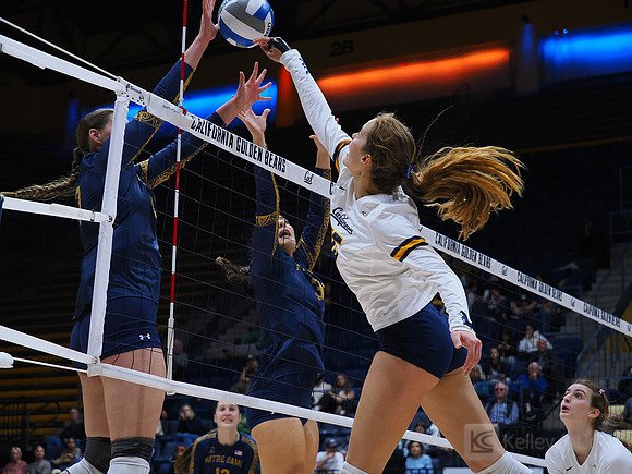 Volleyball: California Golden Bears vs Notre Dame Fighting Irish